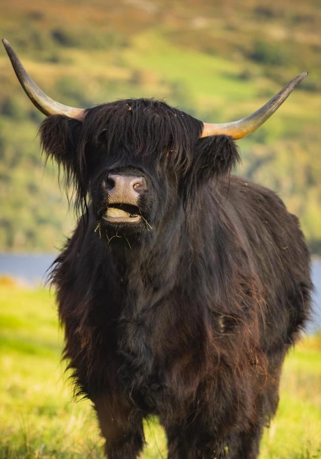 Loch Ness Cottage Fort Augustus Luaran gambar